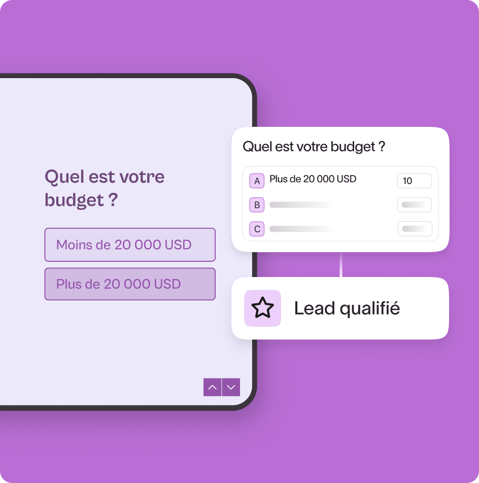 Question asking 'What is your budget?' with options under 20,000 USD and over 20,000 USD, highlighting the over 20,000 USD option as a qualified lead.
